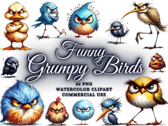 Download Funny Grumpy Bird Clipart Funny Bird Png - Bird png Collection