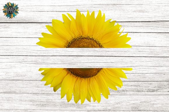 Download Split Sunflower Sublimation Transparent - Sublimation Collection