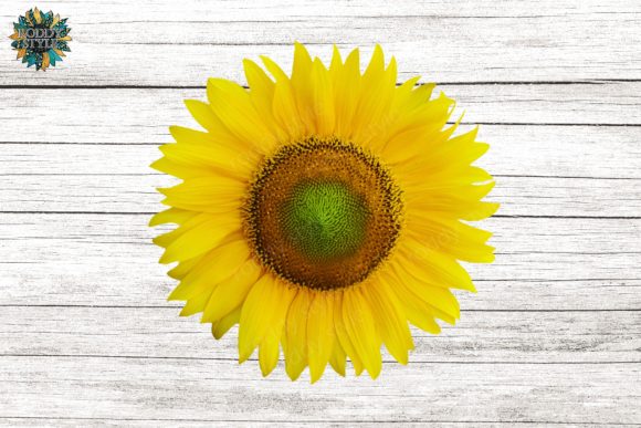 Download Sunflower Design PNG Sublimation - Sublimation Collection