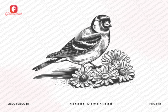 Download Floral Bird Hand Drawn Sparrow Bird PNG - Premium Bundle