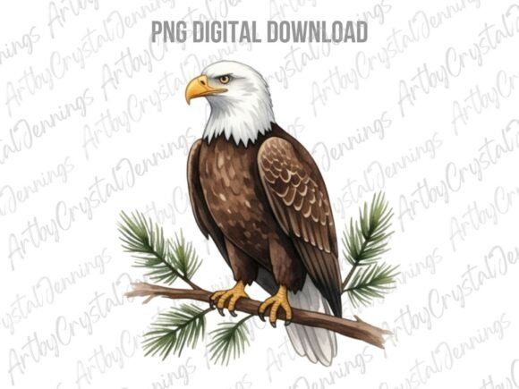 Download American Bald Eagle Bird PNG - Bird png Collection