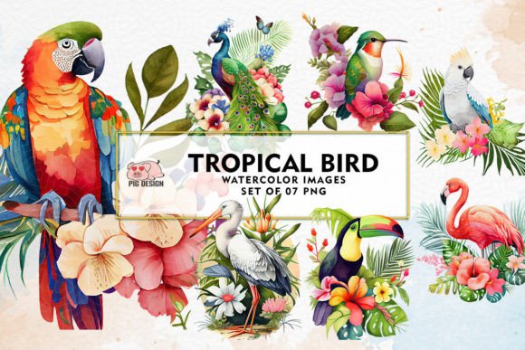 Download Tropical Bird Watercolor Sublimation - Sublimation Collection
