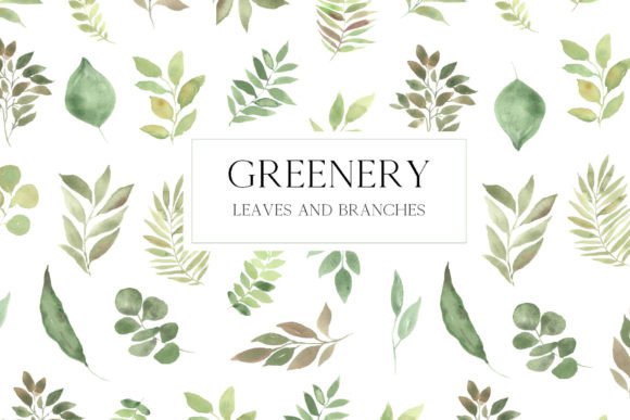 Download Watercolor Greenery Leaves Clipart - Leaves Collection