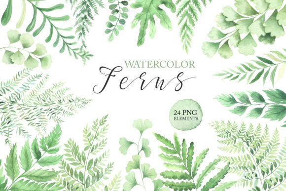 Download Watercolor Fern Green Leaves Clipart PNG - Leaves Collection